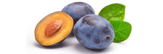 L'huile végétale de Prune